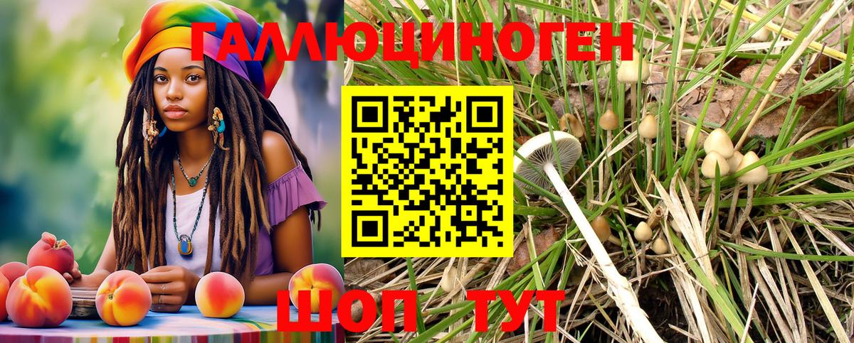 Галлюциногенные грибы Magic Shrooms  Вход с VPN  Сибай 
